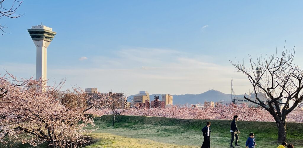 函館市五稜郭の史跡 五稜郭公園からの桜と五稜郭タワー&函館山の風景